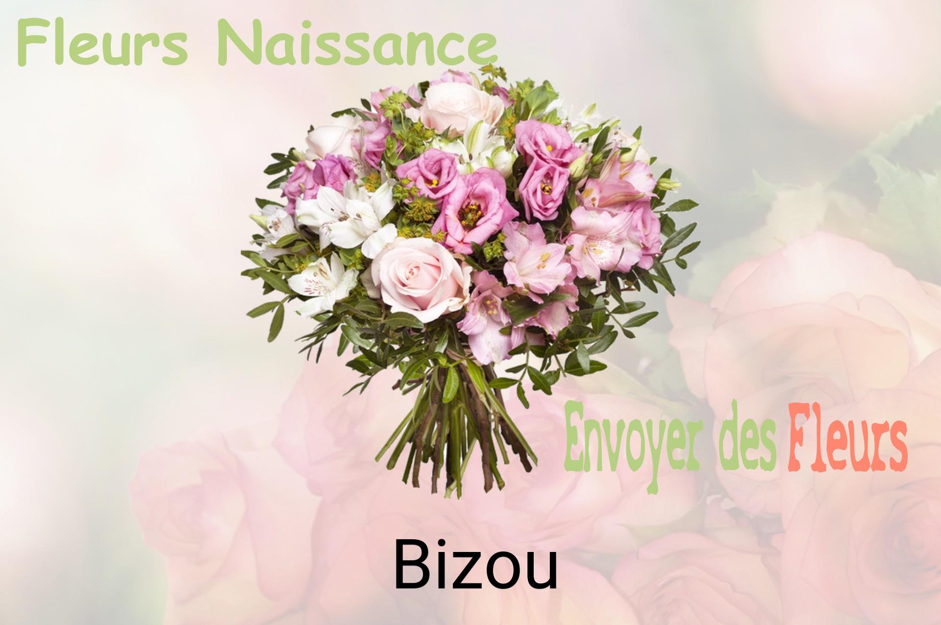 Bouquet de fleurs de naissance livré à Bizou